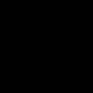 Meet your Posher, Magdalena